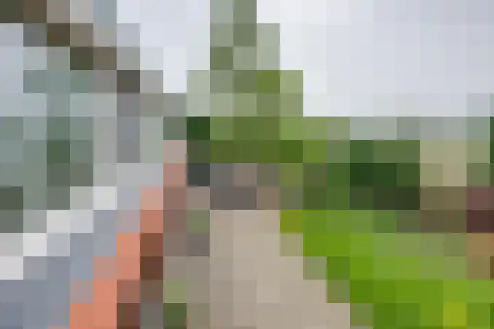 Hoekvensedreef 13 Schijf thumbnail 24