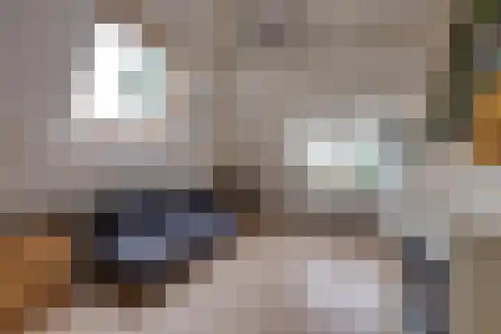 Hoekvensedreef 13 Schijf thumbnail 25