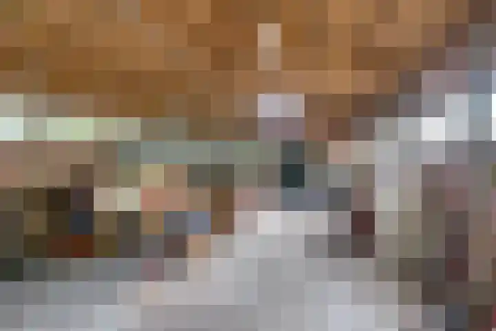 Hoekvensedreef 13 Schijf thumbnail 28
