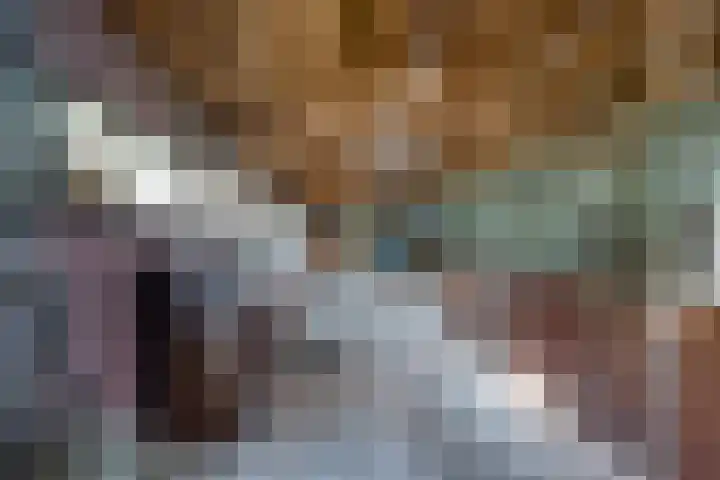 Hoekvensedreef 13 Schijf thumbnail 29