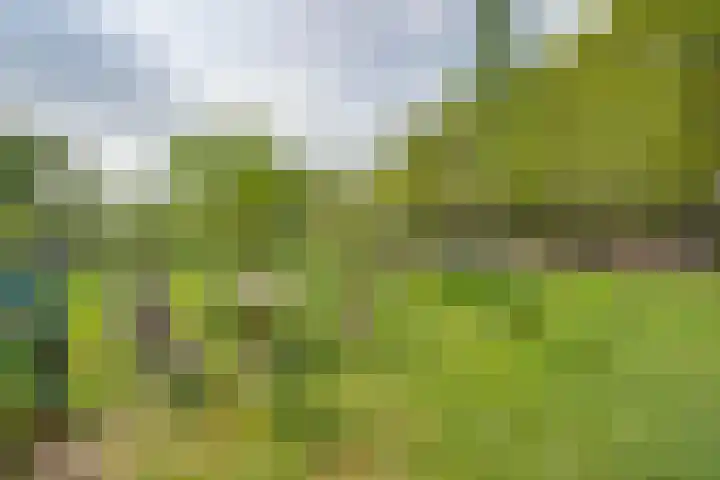 Hoekvensedreef 13 Schijf thumbnail 30