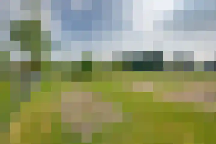 Hoekvensedreef 13 Schijf thumbnail 31