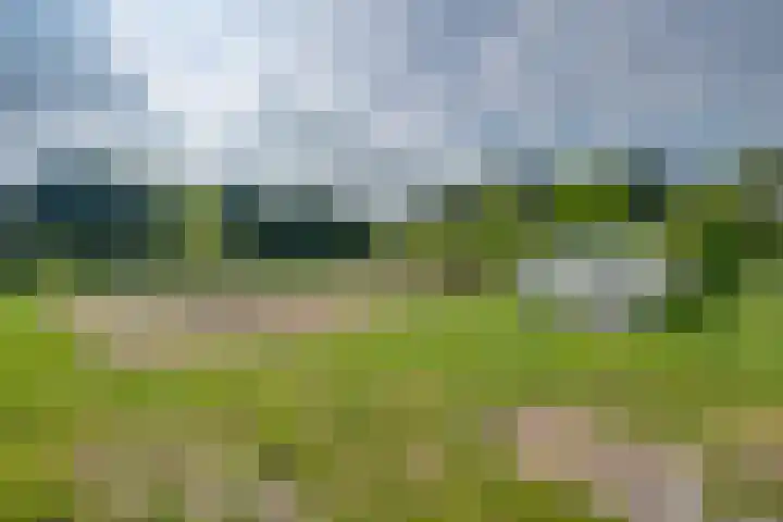 Hoekvensedreef 13 Schijf thumbnail 32