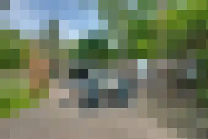 Hoekvensedreef 13 Schijf thumbnail 36