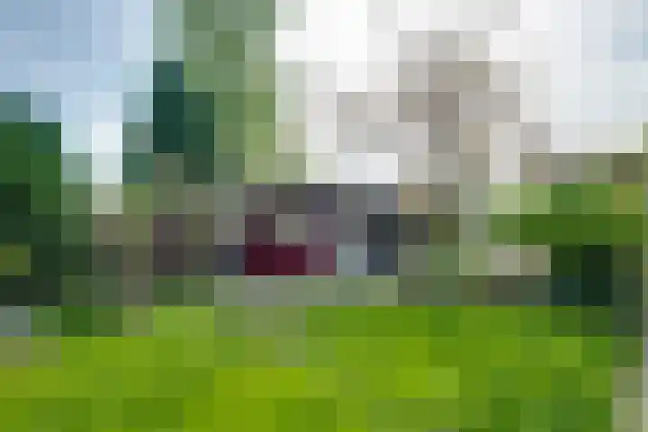 Hoekvensedreef 13 Schijf thumbnail 37