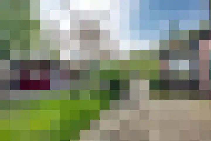 Hoekvensedreef 13 Schijf thumbnail 41