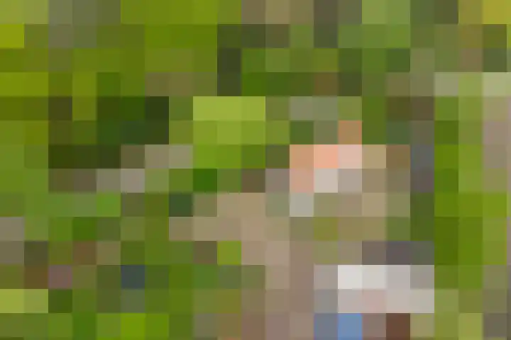 Hoekvensedreef 13 Schijf thumbnail 6