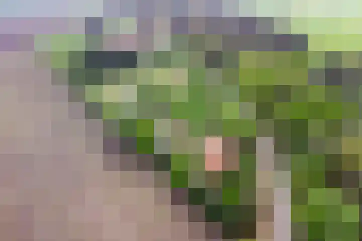 Hoekvensedreef 13 Schijf thumbnail 7