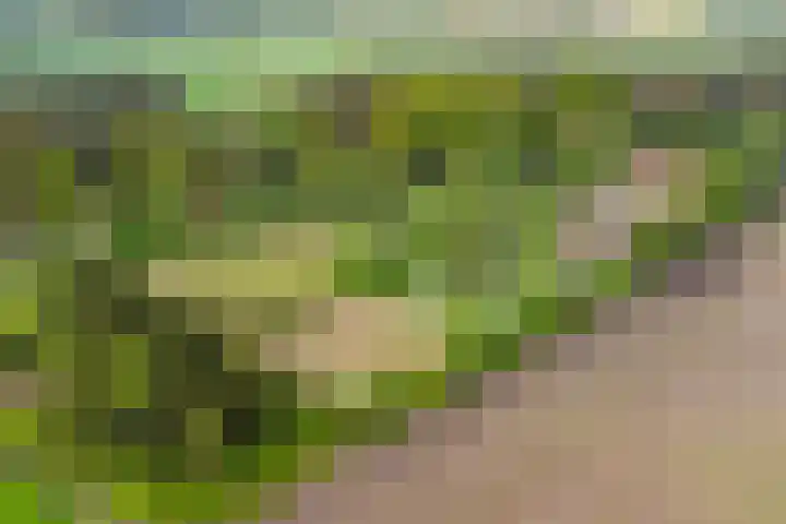 Hoekvensedreef 13 Schijf thumbnail 8