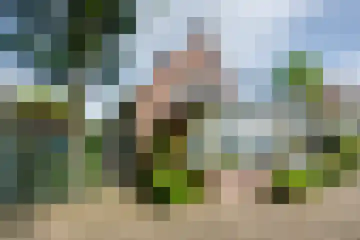 Hoekvensedreef 13 Schijf thumbnail 9