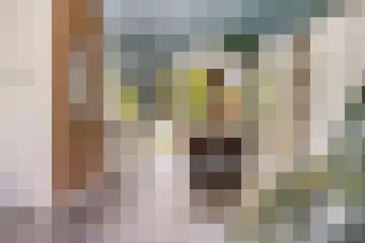 Hoekvlag 5 Gilze thumbnail 11