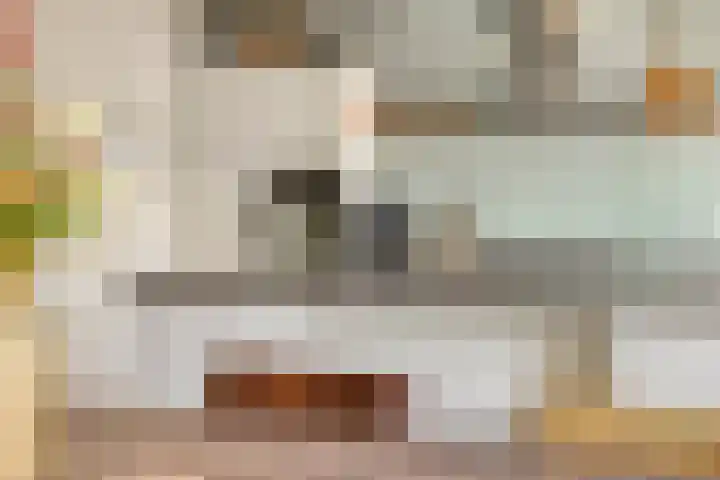 Hoekvlag 5 Gilze thumbnail 15