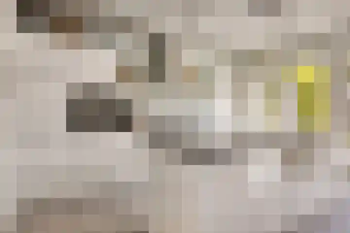 Hoekvlag 5 Gilze thumbnail 16
