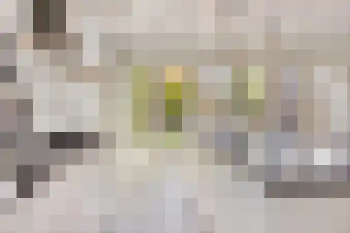 Hoekvlag 5 Gilze thumbnail 17