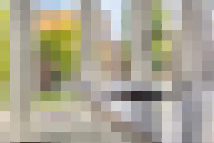 Hoekvlag 5 Gilze thumbnail 18