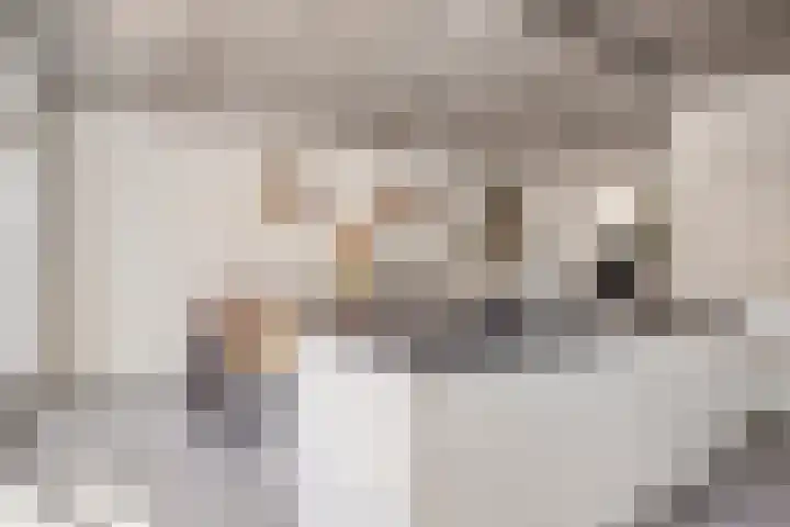 Hoekvlag 5 Gilze thumbnail 20