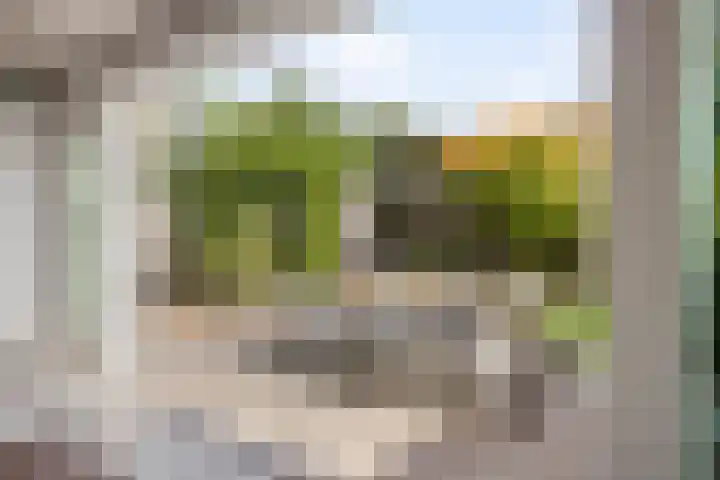 Hoekvlag 5 Gilze thumbnail 22