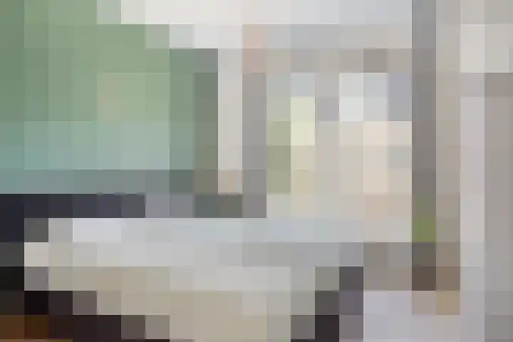 Hoekvlag 5 Gilze thumbnail 26