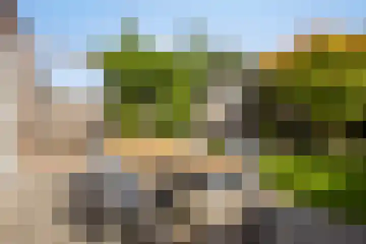 Hoekvlag 5 Gilze thumbnail 39