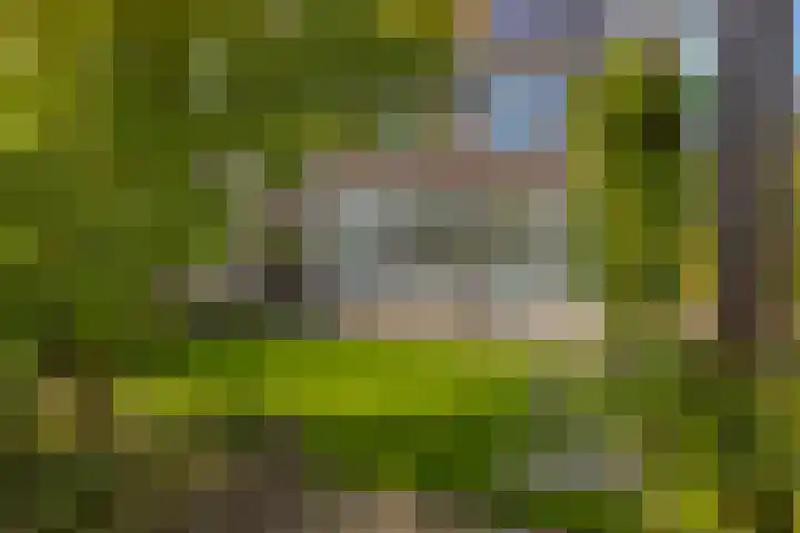 Hoekvlag 5 Gilze thumbnail 42