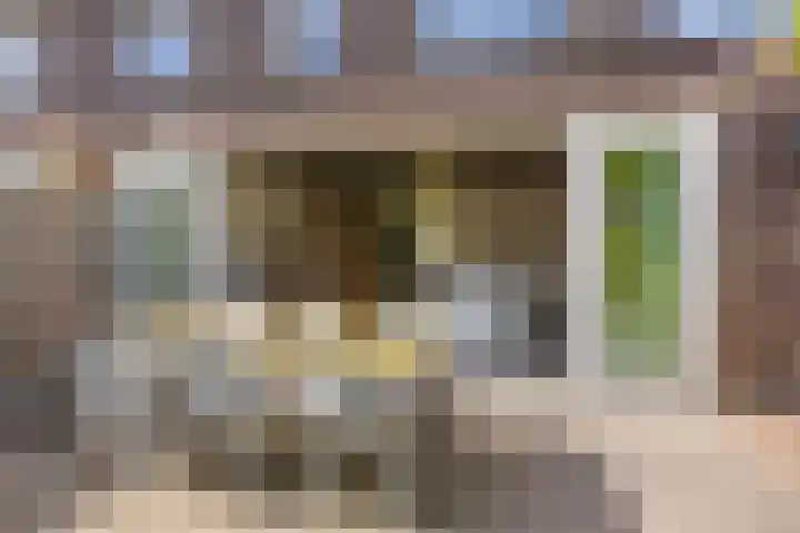 Hoekvlag 5 Gilze thumbnail 44