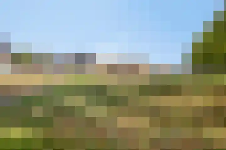 Hoekvlag 5 Gilze thumbnail 47