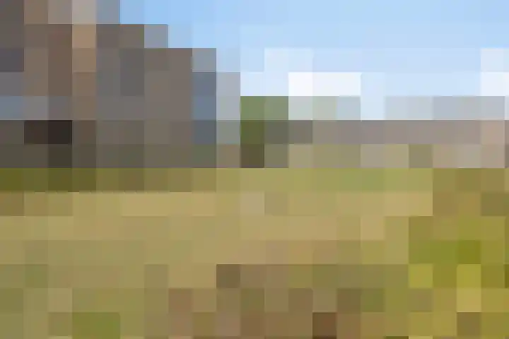 Hoekvlag 5 Gilze thumbnail 48