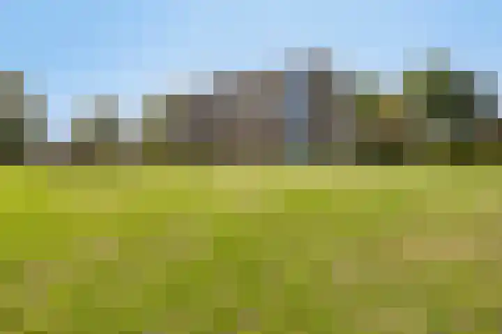 Hoekvlag 5 Gilze thumbnail 49