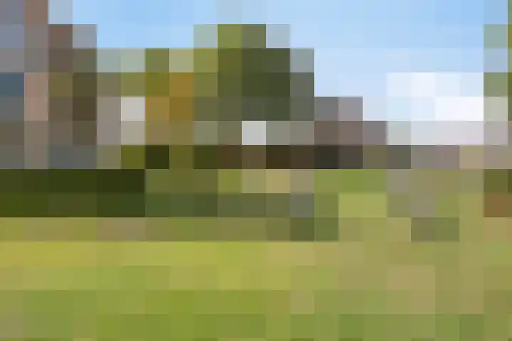Hoekvlag 5 Gilze thumbnail 50