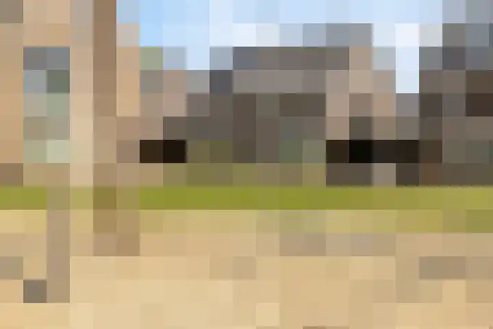 Hoekvlag 5 Gilze thumbnail 51