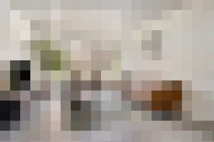 Hoekvlag 5 Gilze thumbnail 7