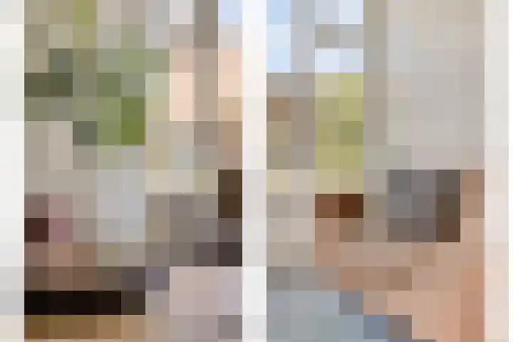 Hoekvlag 5 Gilze thumbnail 8