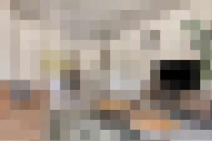 Hoekvlag 5 Gilze thumbnail 9