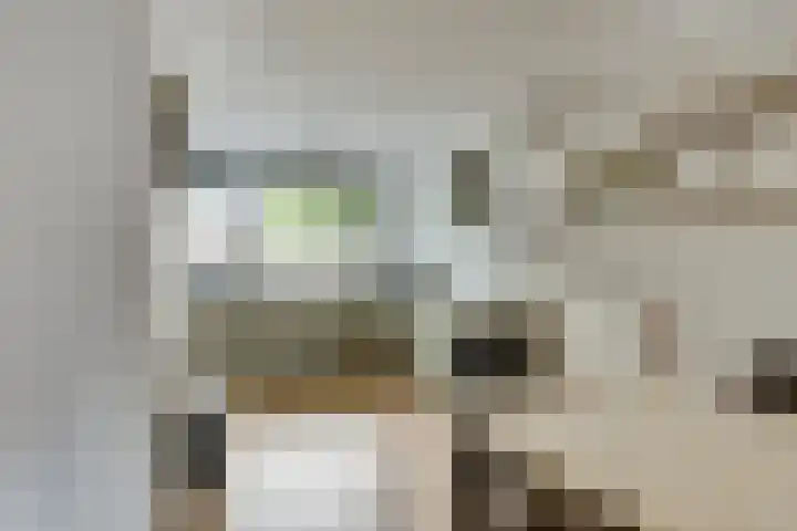 Hoekwal 21 Veldhoven thumbnail 10
