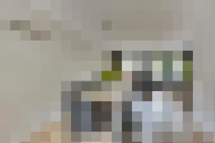 Hoekwal 21 Veldhoven thumbnail 11