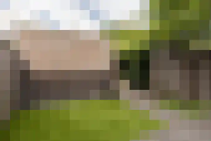 Hoekwal 21 Veldhoven thumbnail 39