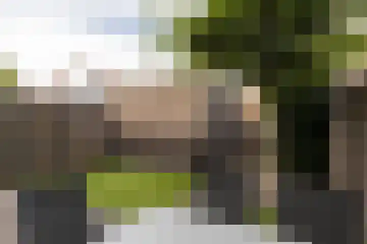 Hoekwal 21 Veldhoven thumbnail 40