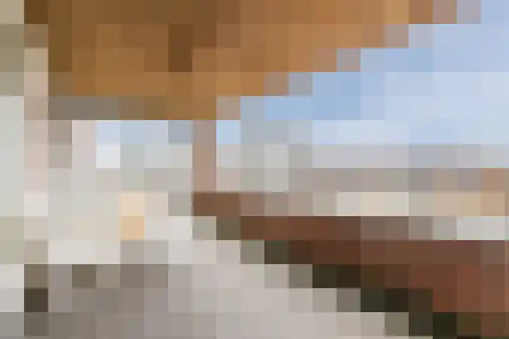 Hoekwal 66 Veldhoven thumbnail 22