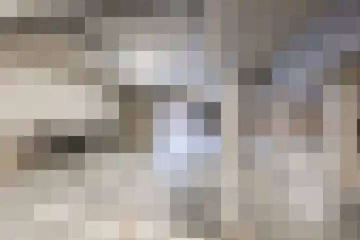 Hoekwal 66 Veldhoven thumbnail 32