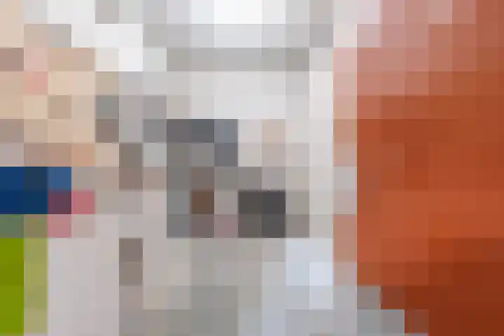 Hoekwal 66 Veldhoven thumbnail 33