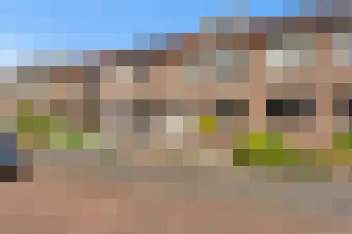 Hoekwant 26 Elburg thumbnail 11