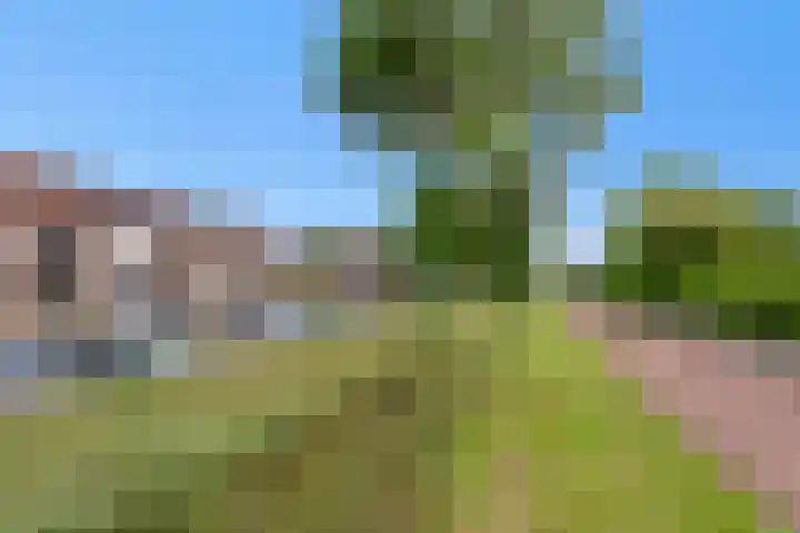 Hoekwant 26 Elburg thumbnail 13