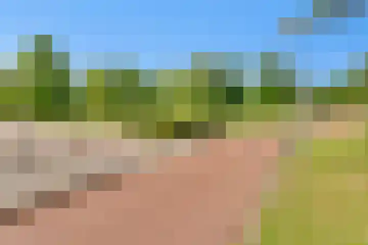 Hoekwant 26 Elburg thumbnail 14