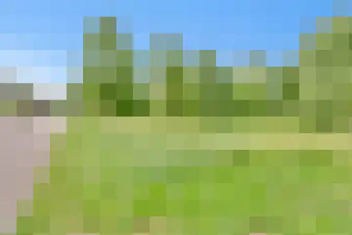 Hoekwant 26 Elburg thumbnail 15
