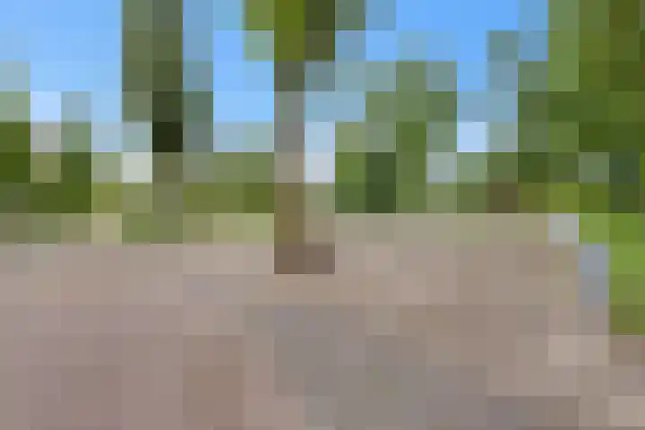 Hoekwant 26 Elburg thumbnail 17