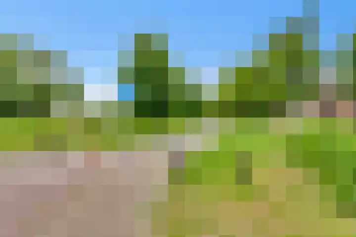 Hoekwant 26 Elburg thumbnail 18