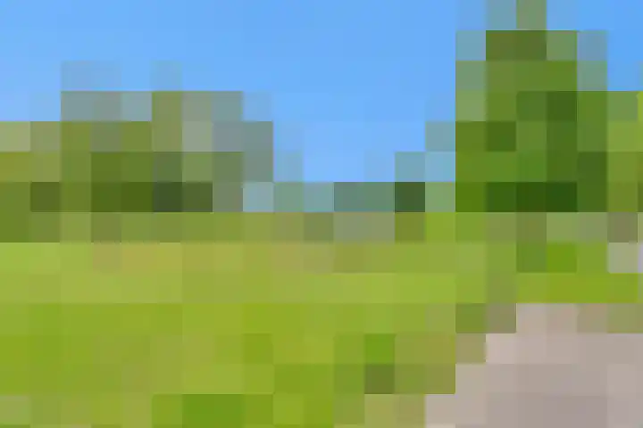 Hoekwant 26 Elburg thumbnail 19