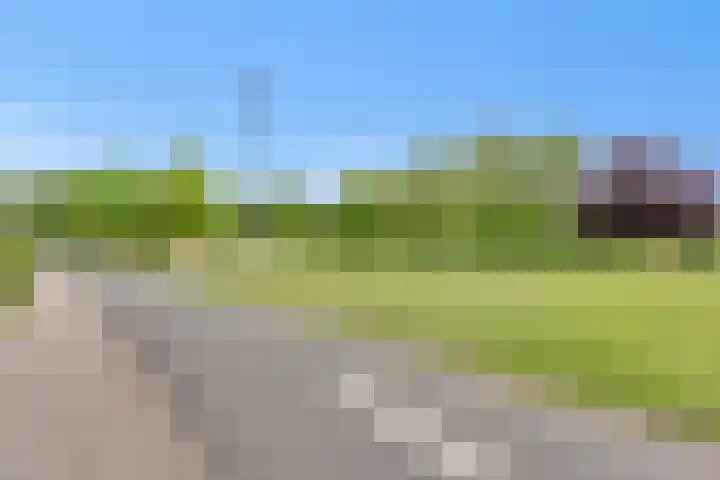 Hoekwant 26 Elburg thumbnail 20