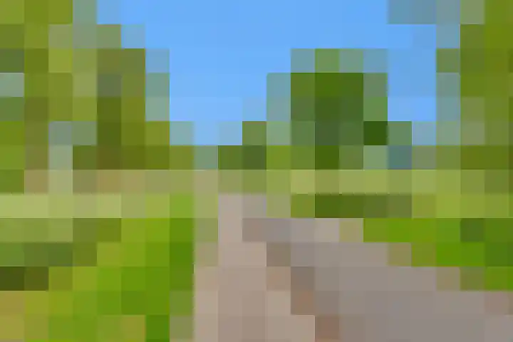 Hoekwant 26 Elburg thumbnail 21