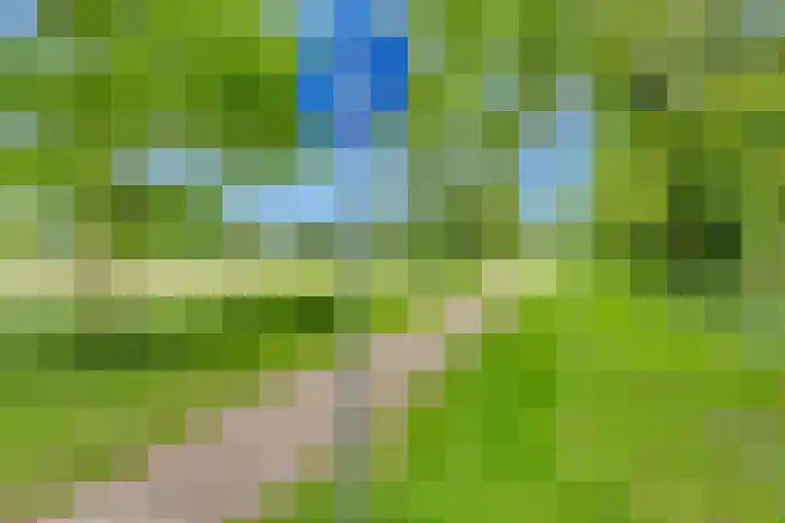 Hoekwant 26 Elburg thumbnail 22